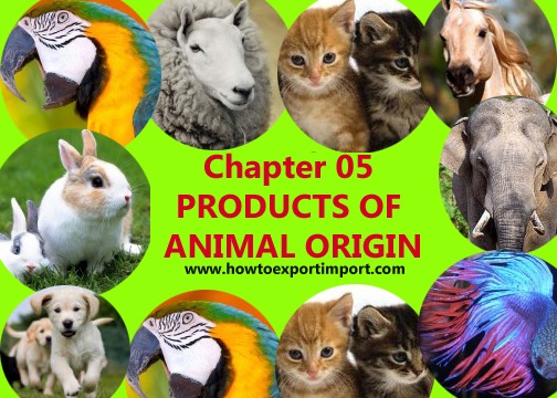 6-digit-hs-codes-chapter-05-products-of-animal-origin